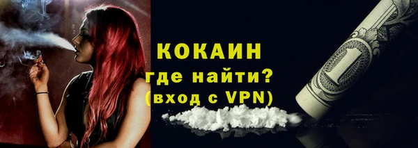 соль ск Абаза