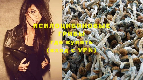 дмт Няндома
