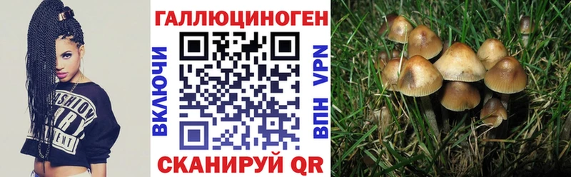 Псилоцибиновые грибы ЛСД  Невельск 